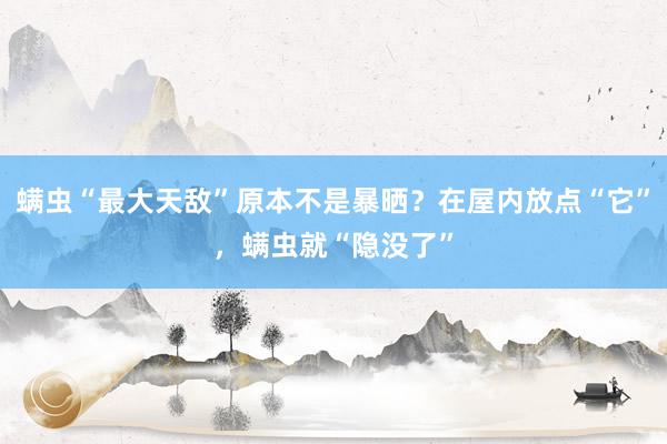 螨虫“最大天敌”原本不是暴晒？在屋内放点“它”，螨虫就“隐没了”