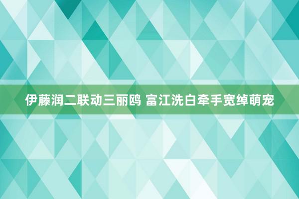 伊藤润二联动三丽鸥 富江洗白牵手宽绰萌宠