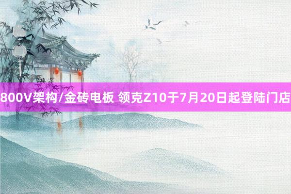 800V架构/金砖电板 领克Z10于7月20日起登陆门店