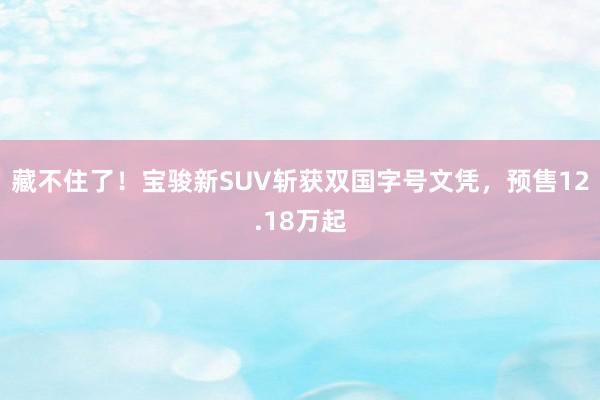 藏不住了！宝骏新SUV斩获双国字号文凭，预售12.18万起