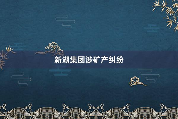 新湖集团涉矿产纠纷