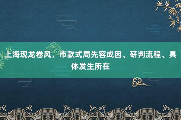 上海现龙卷风，市款式局先容成因、研判流程、具体发生所在